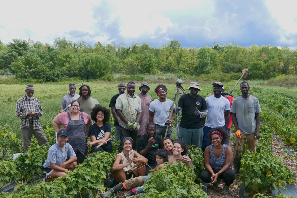 Local Organizations & Businesses